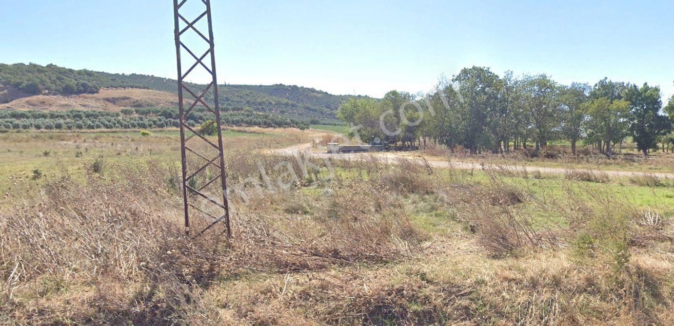 Araç Takaslı Karacabey Çavuş Mah. 1.910m2 Satılık Arazi - Görsel 7
