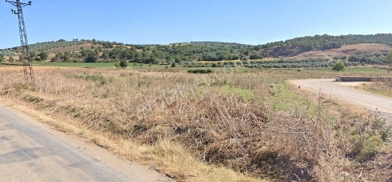 Araç Takaslı Karacabey Çavuş Mah. 1.910m2 Satılık Arazi - Görsel 5