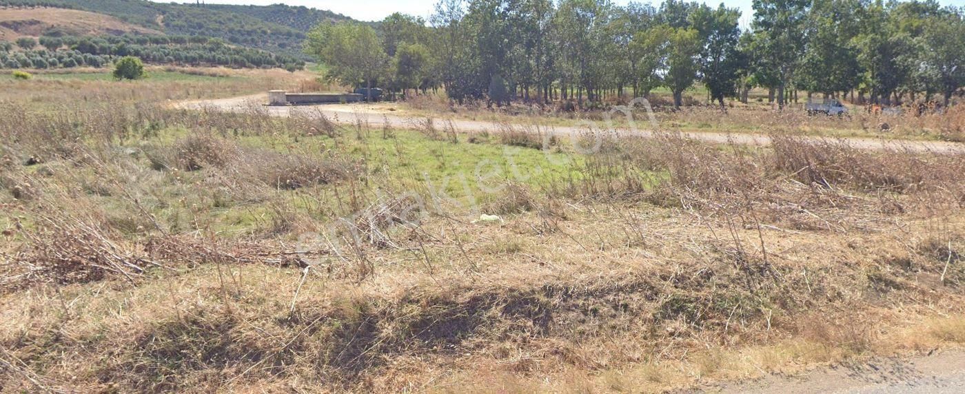 Araç Takaslı Karacabey Çavuş Mah. 1.910m2 Satılık Arazi - Görsel 6