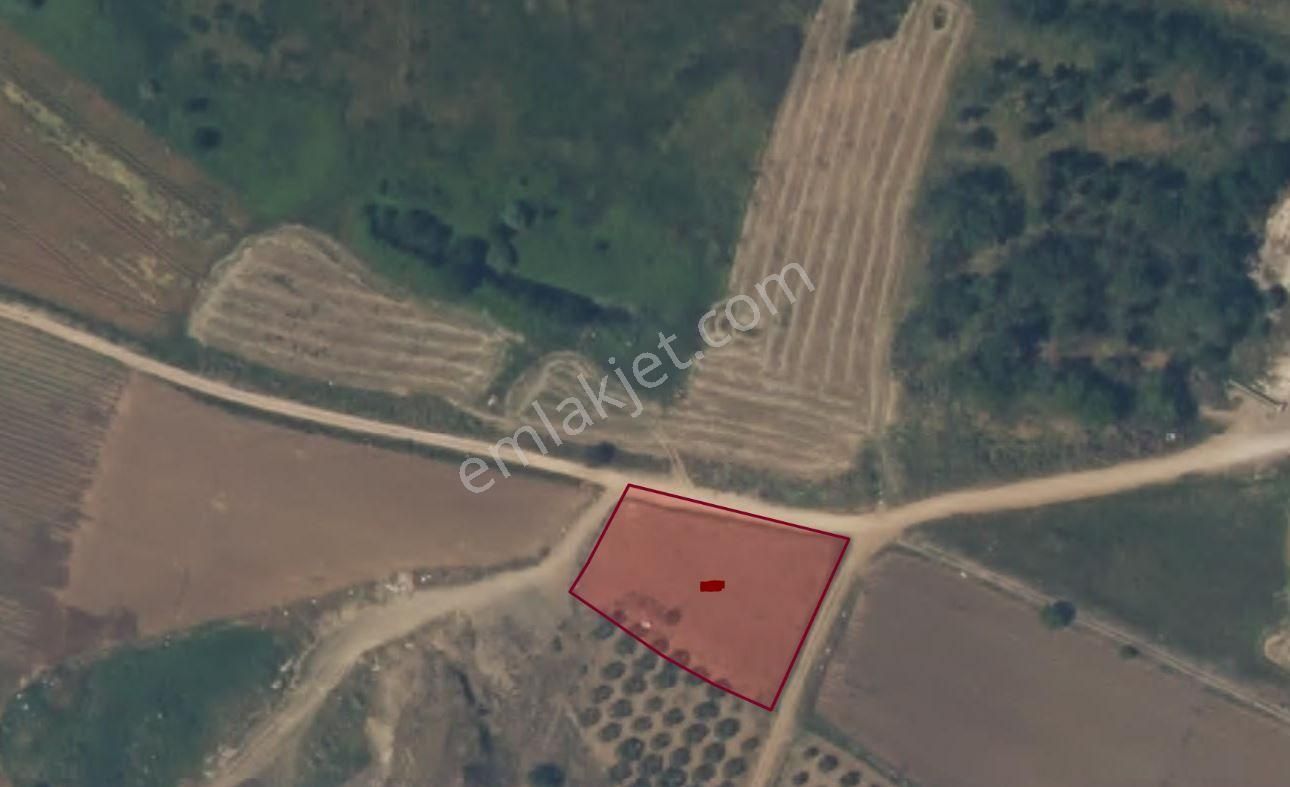 Araç Takaslı Karacabey Çavuş Mah. 1.910m2 Satılık Arazi - Görsel 3