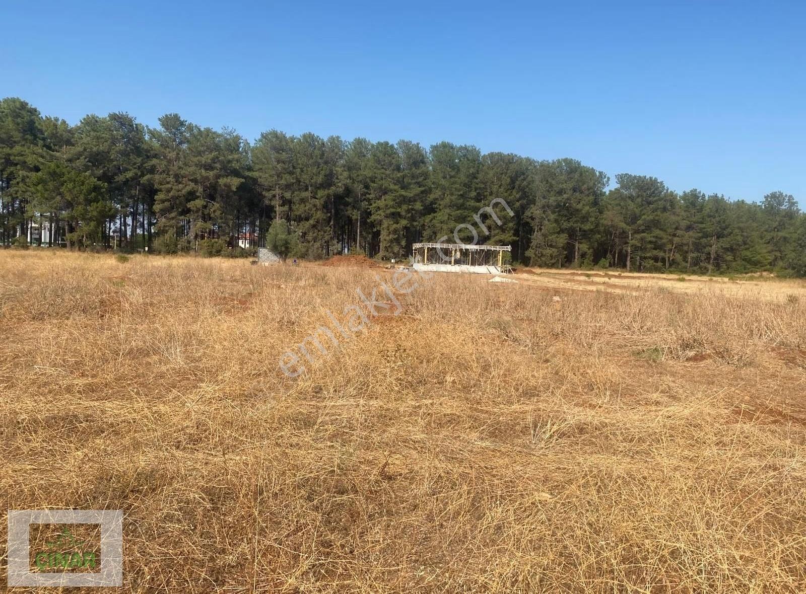 Düzlercami Mahallesi'de Satılık 535 M2 Villa Parseli Çınar Emlak - Görsel 4