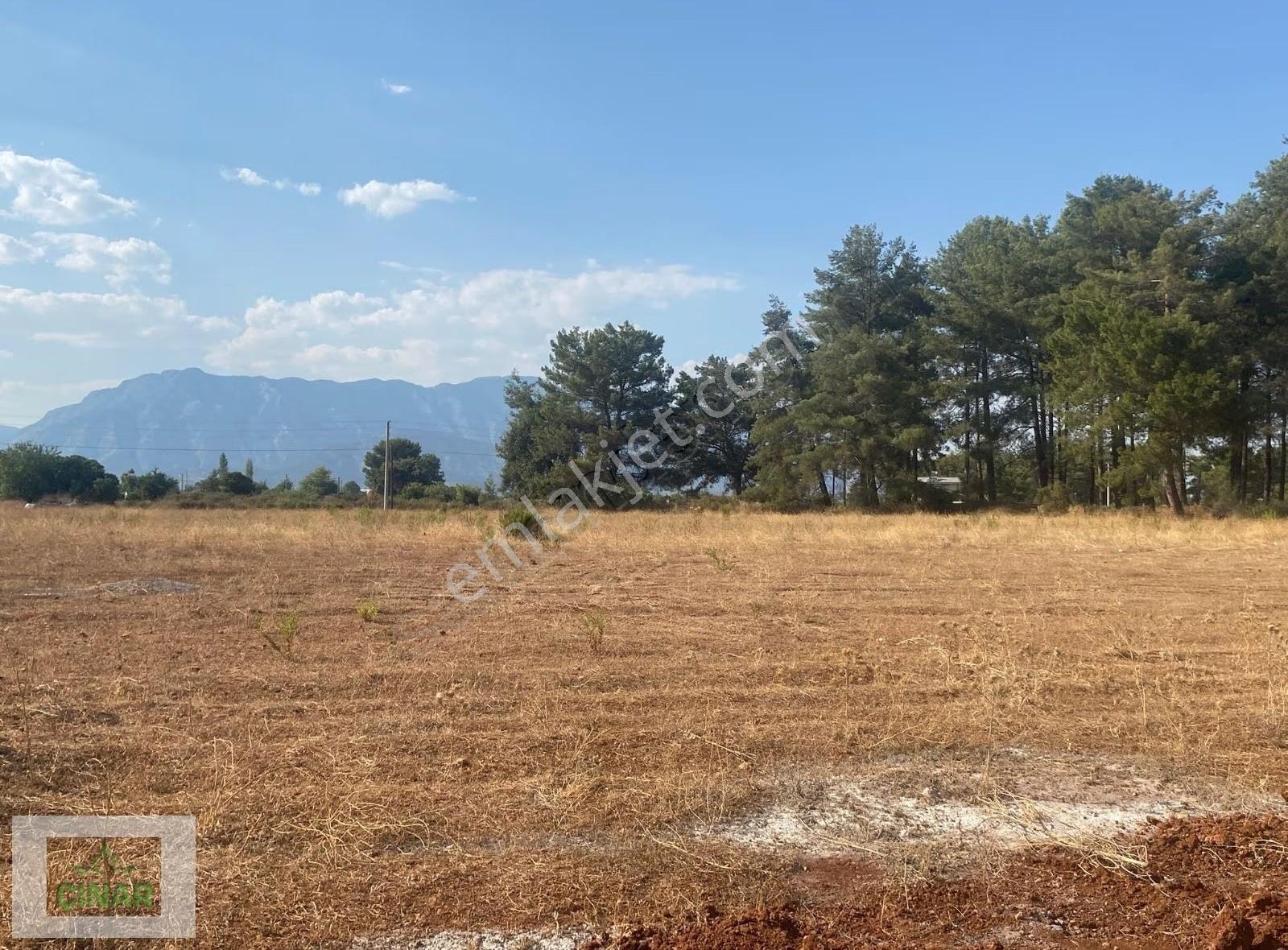 Düzlercami Mahallesi'de Satılık 535 M2 Villa Parseli Çınar Emlak - Görsel 3