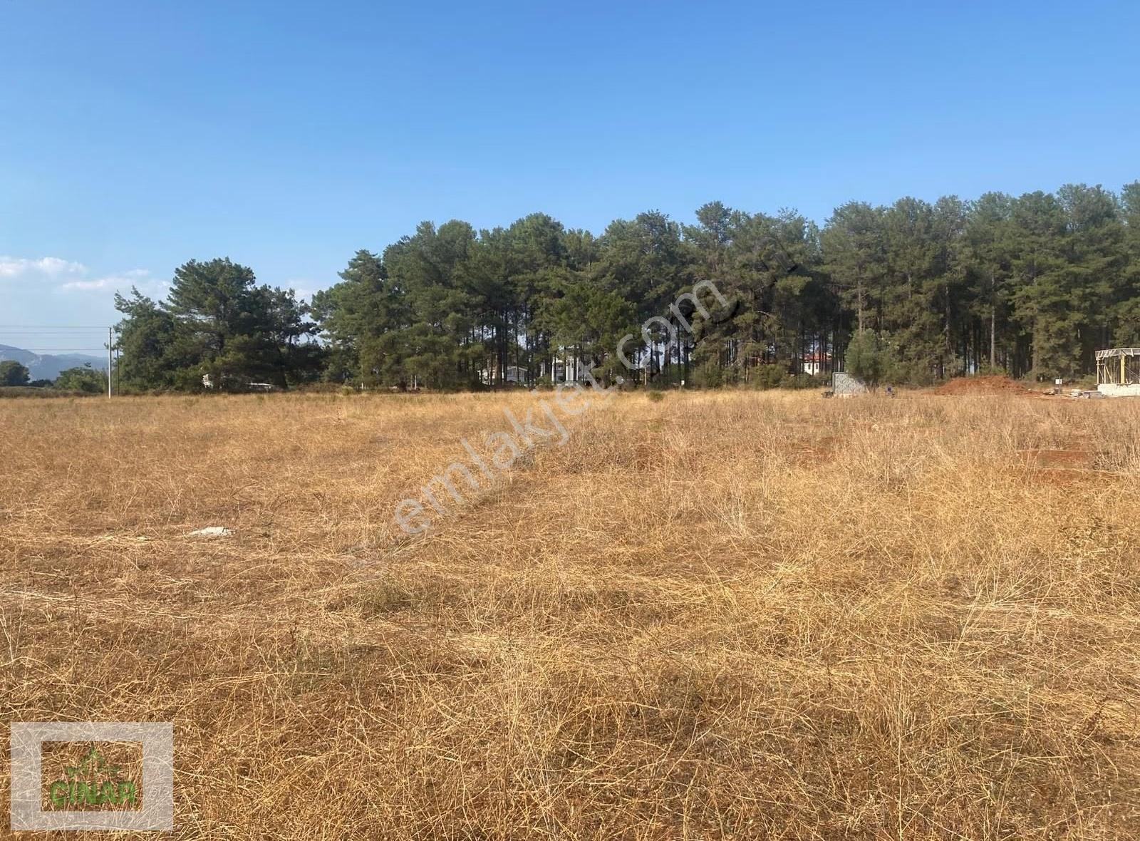 Düzlercami Mahallesi'de Satılık 535 M2 Villa Parseli Çınar Emlak - Görsel 10