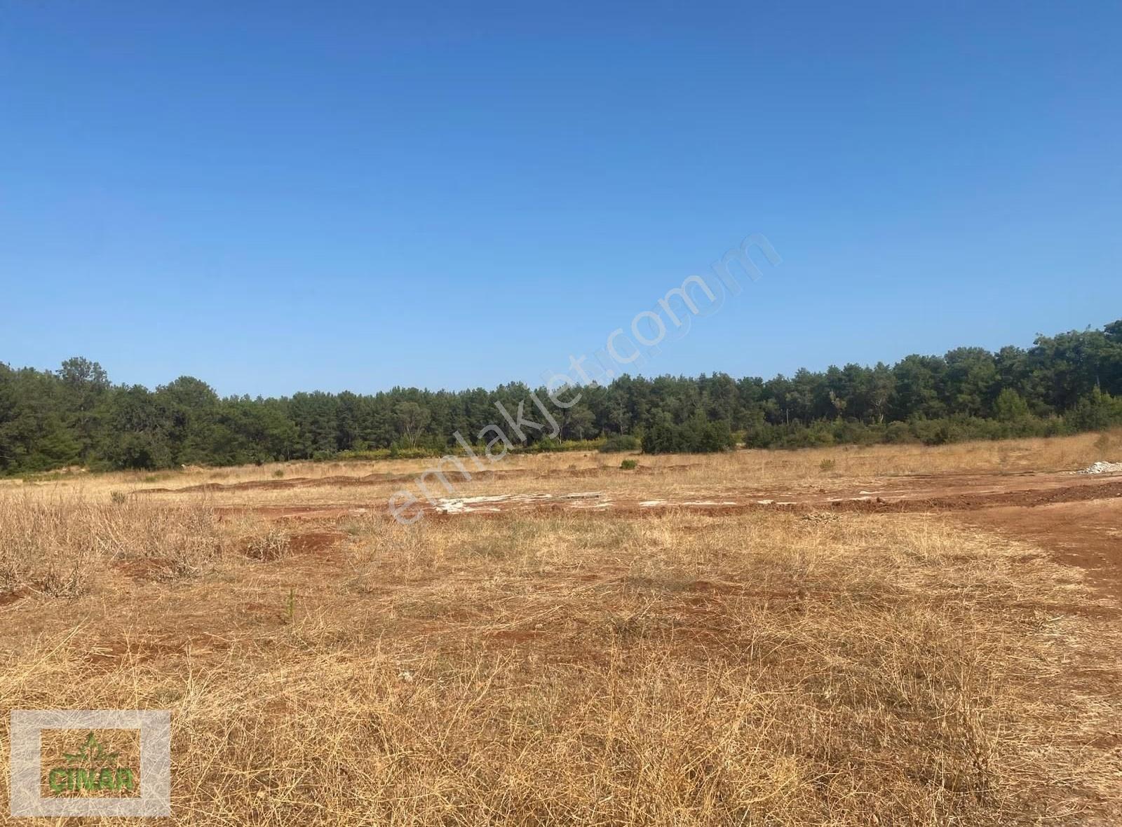 Düzlercami Mahallesi'de Satılık 535 M2 Villa Parseli Çınar Emlak - Görsel 15