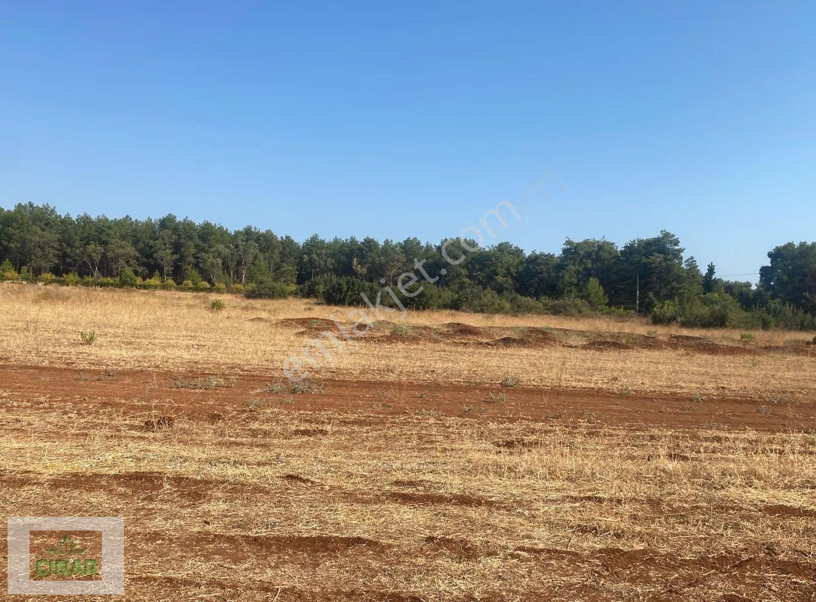 Düzlercami Mahallesi'de Satılık 535 M2 Villa Parseli Çınar Emlak - Görsel 12