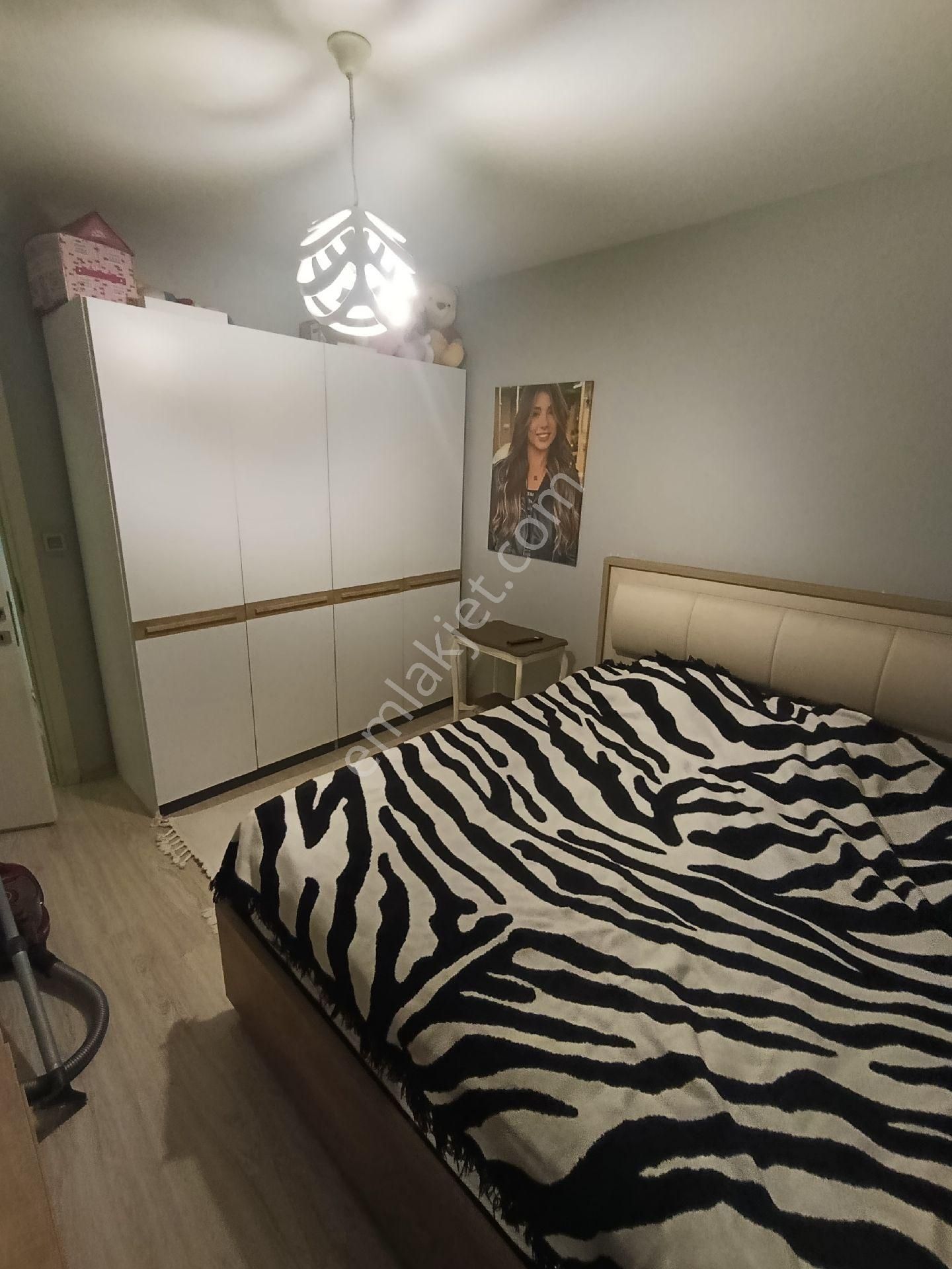 Çarkıpare De Bavulunu Al Gel Kir - Görsel 17