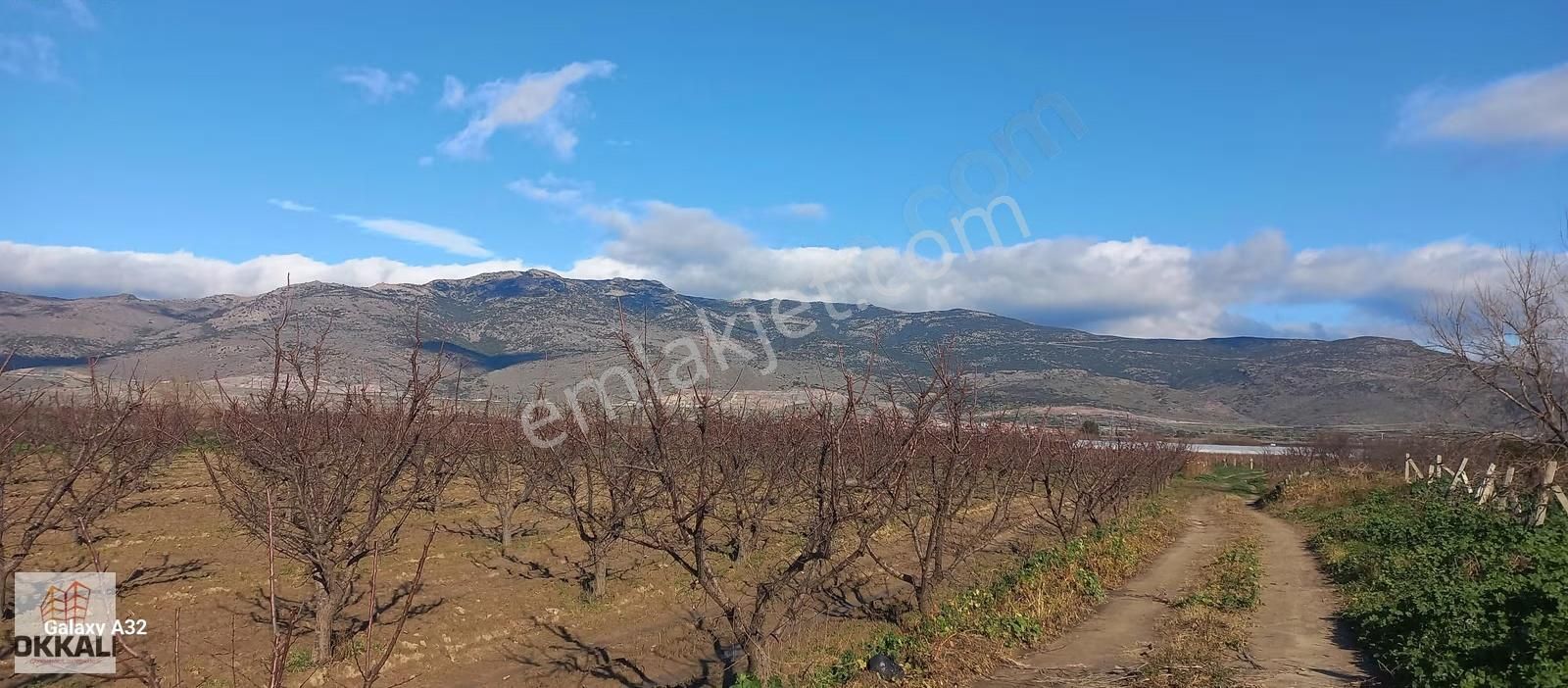 Okkalı Emlak Tan Menemen Mermerli Mah. De Satılık Bağ - Görsel 6