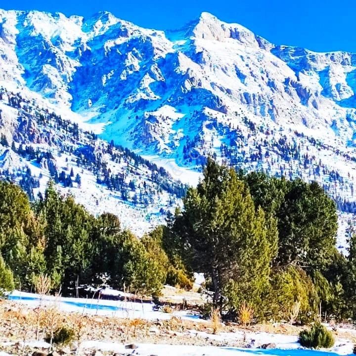 Kar Emlaktan Aşçıbekirli Fenese Mevkiinde 400 M2 Satılık Arsa - Görsel 4