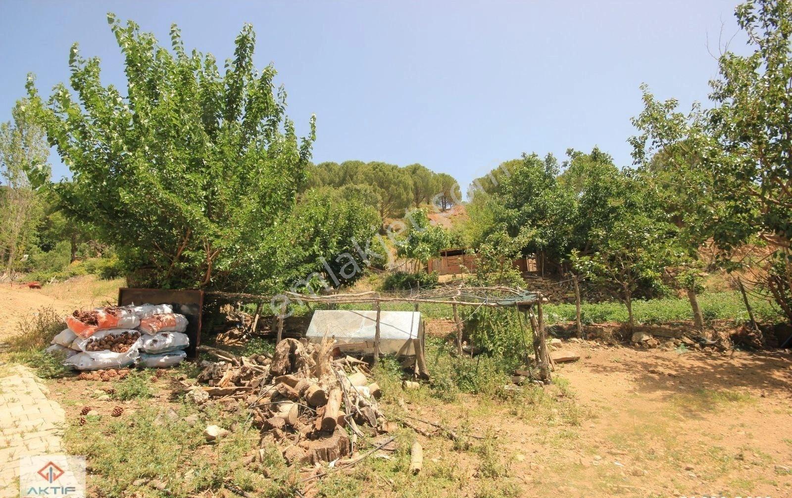 🔻 Aktif'ten Burhaniye Kırtık'ta Yatırımlığa Uygun 425 M2 Alana Sahip Satılık Arsa - Görsel 7