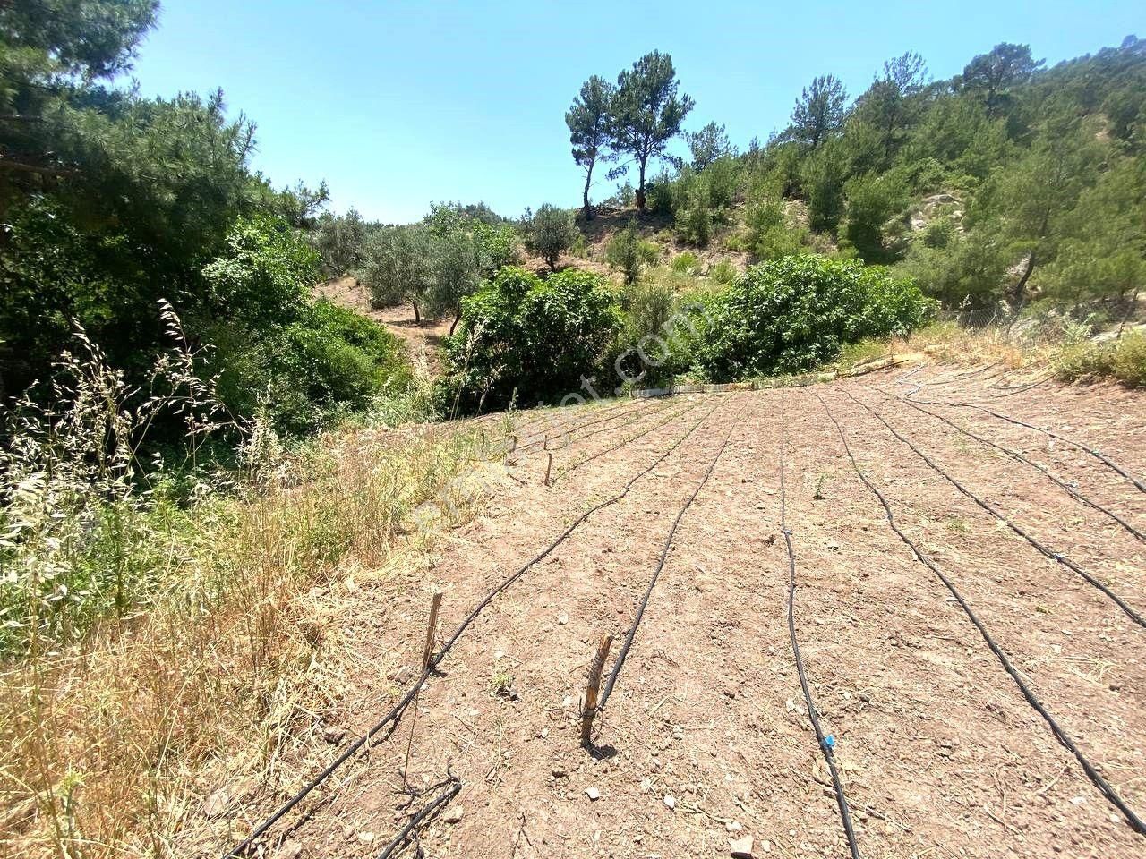 🟥 Aktif'ten Burhaniye Çamtepe'de Suyu Olan 414m2 Satılık Bahçe - Görsel 25