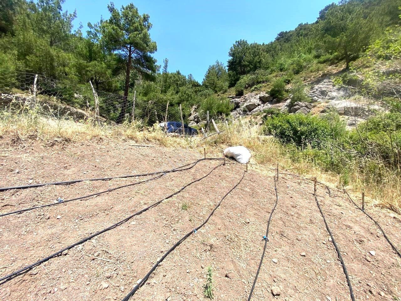 🟥 Aktif'ten Burhaniye Çamtepe'de Suyu Olan 414m2 Satılık Bahçe - Görsel 28