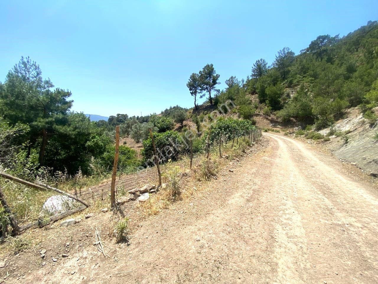 🟥 Aktif'ten Burhaniye Çamtepe'de Suyu Olan 414m2 Satılık Bahçe - Görsel 13