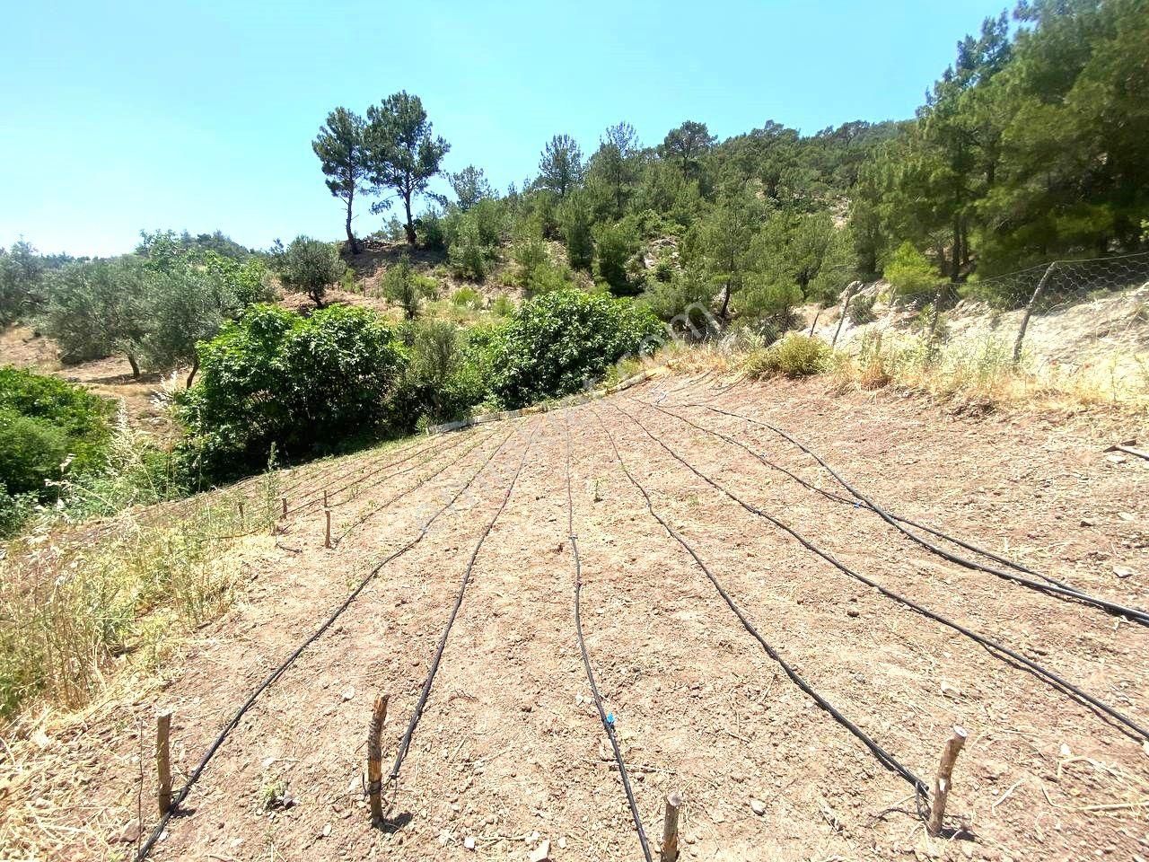 🟥 Aktif'ten Burhaniye Çamtepe'de Suyu Olan 414m2 Satılık Bahçe - Görsel 23