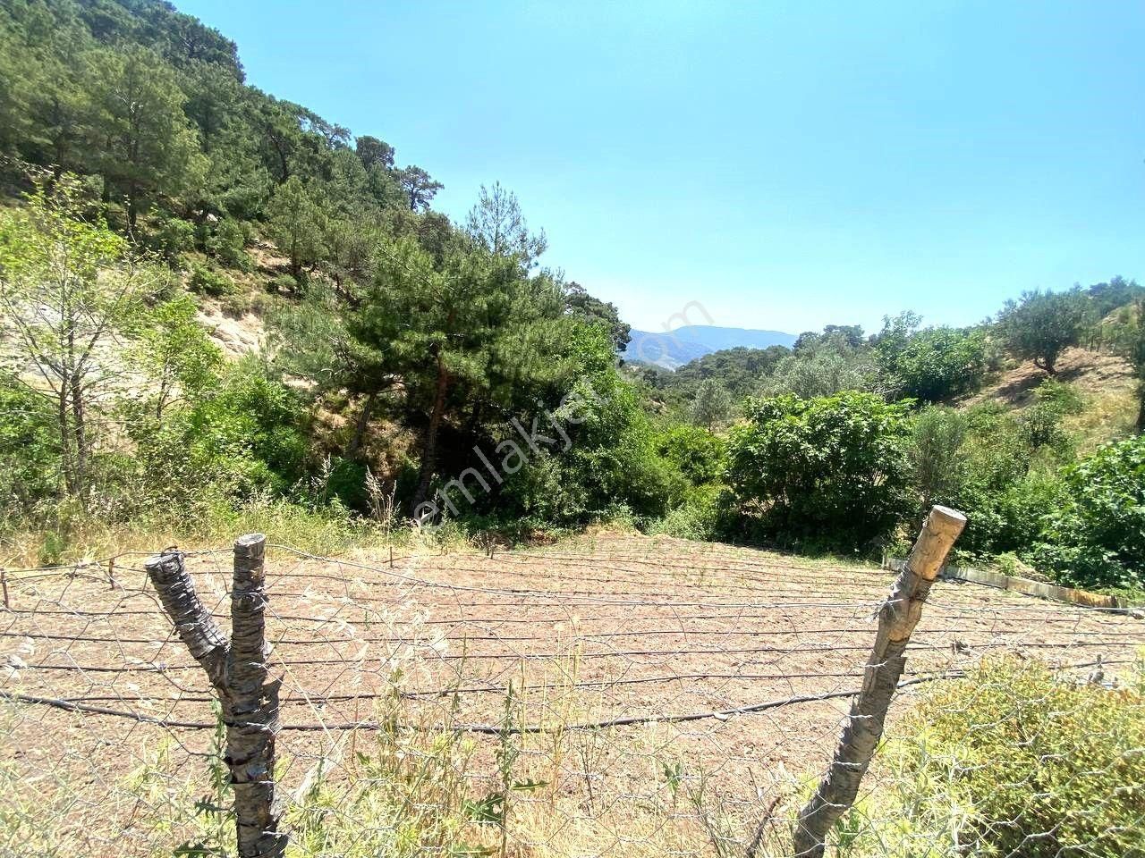 🟥 Aktif'ten Burhaniye Çamtepe'de Suyu Olan 414m2 Satılık Bahçe - Görsel 12