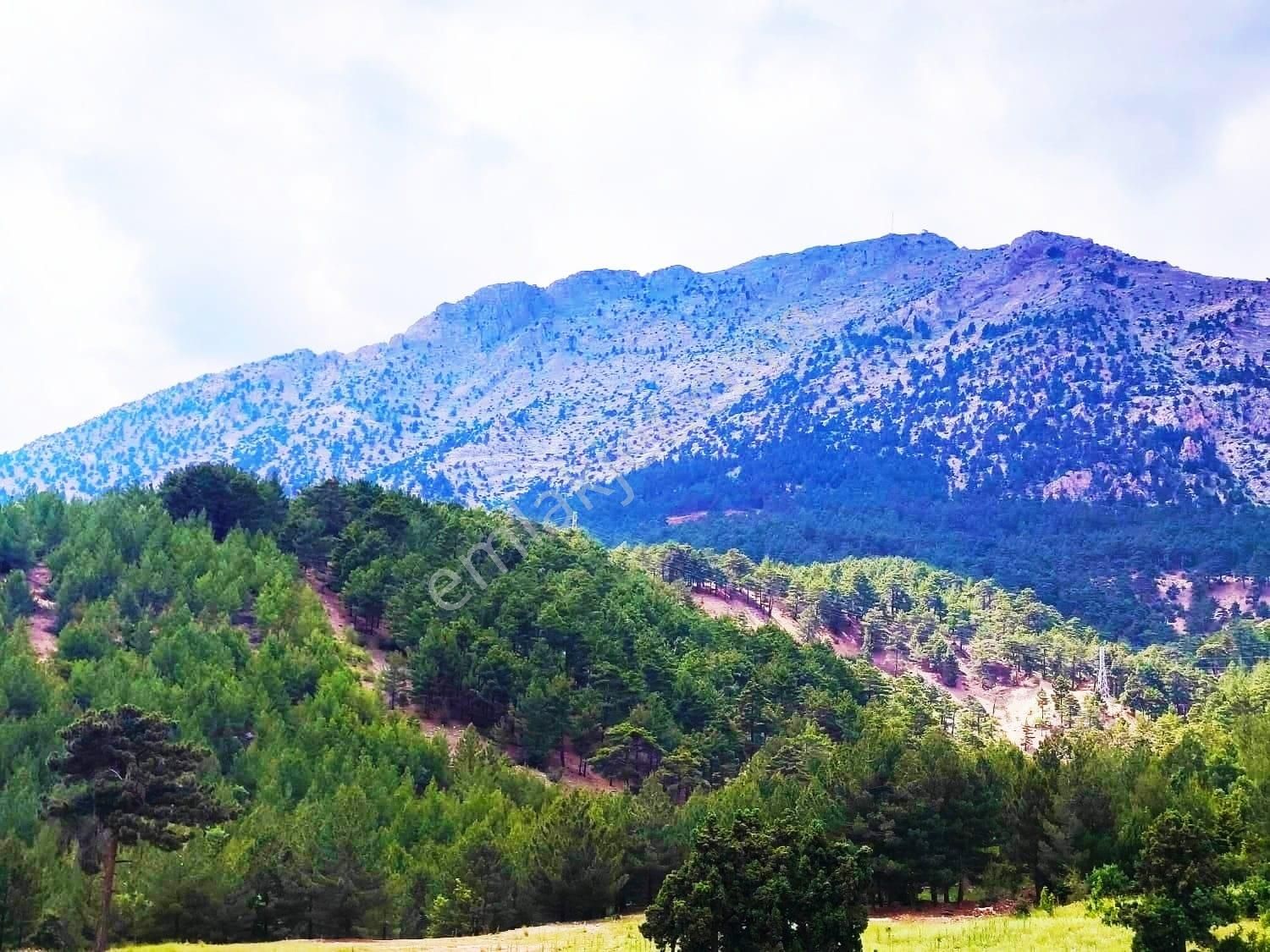 Kar Emlaktan Alpu Yaylasında 480 M2 Satılık Arsa - Görsel 6