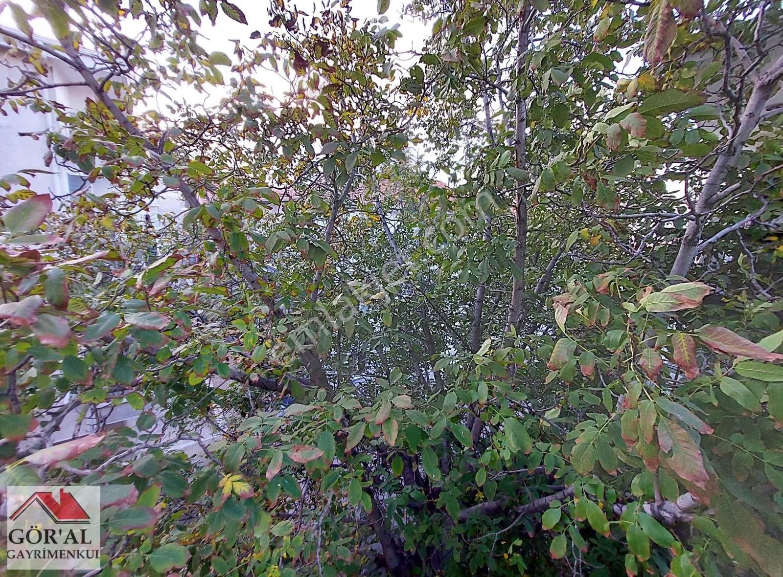 Göral Emlak Dikmen Cad. Üzeri Polis Evi Yak.full Yapılı Ortakat