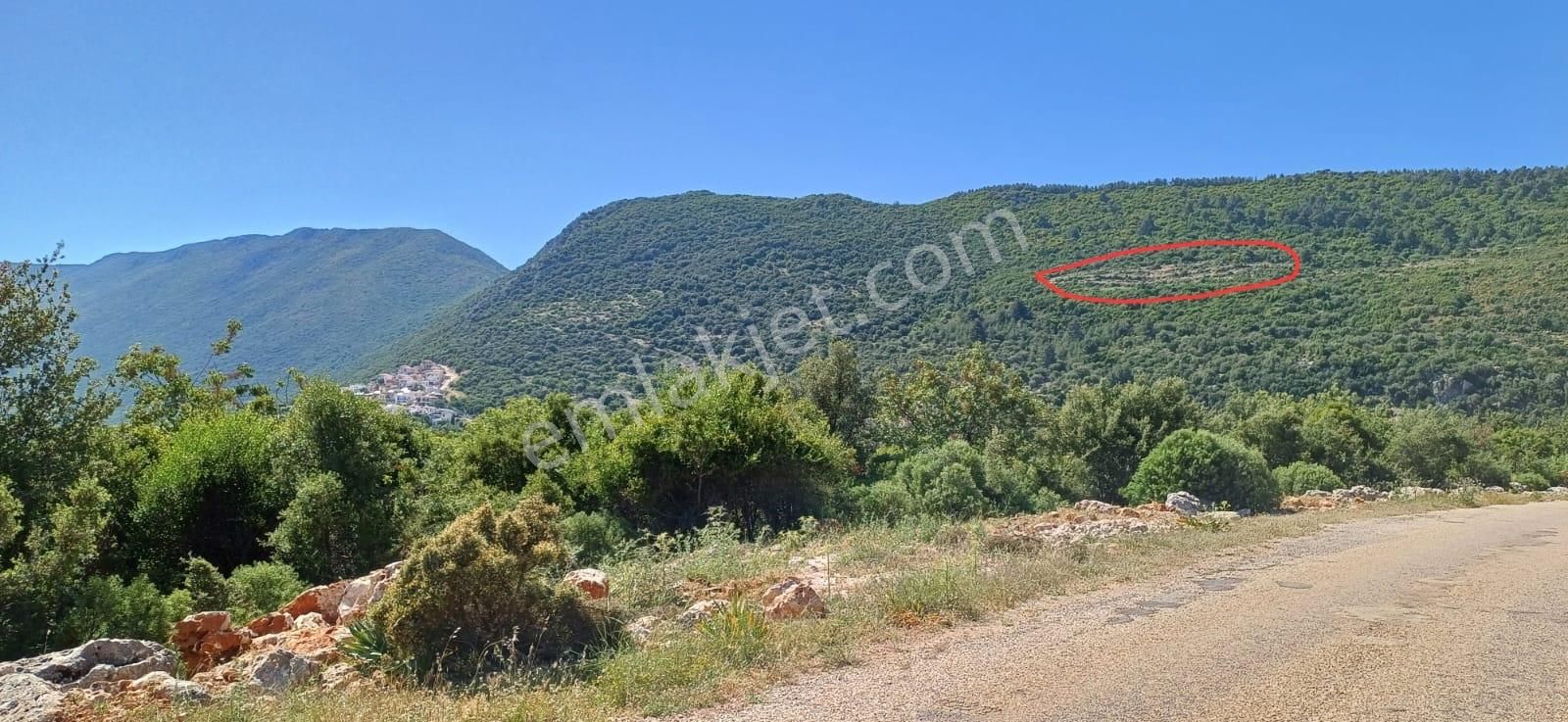 Kaş Pınarbaşı Mevkiinde Müstakil 14853 M2 Tarla - Görsel 18