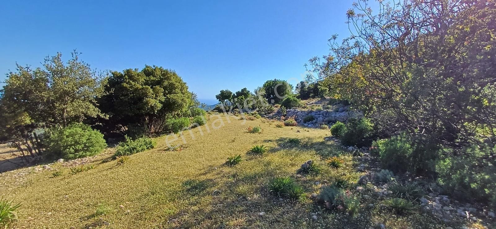 Kaş Pınarbaşı Mevkiinde Müstakil 14853 M2 Tarla - Görsel 4