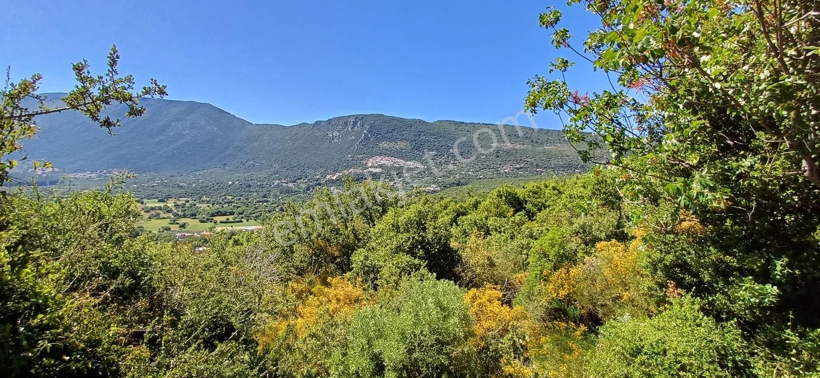 Kaş Pınarbaşı Mevkiinde Müstakil 14853 M2 Tarla - Görsel 5