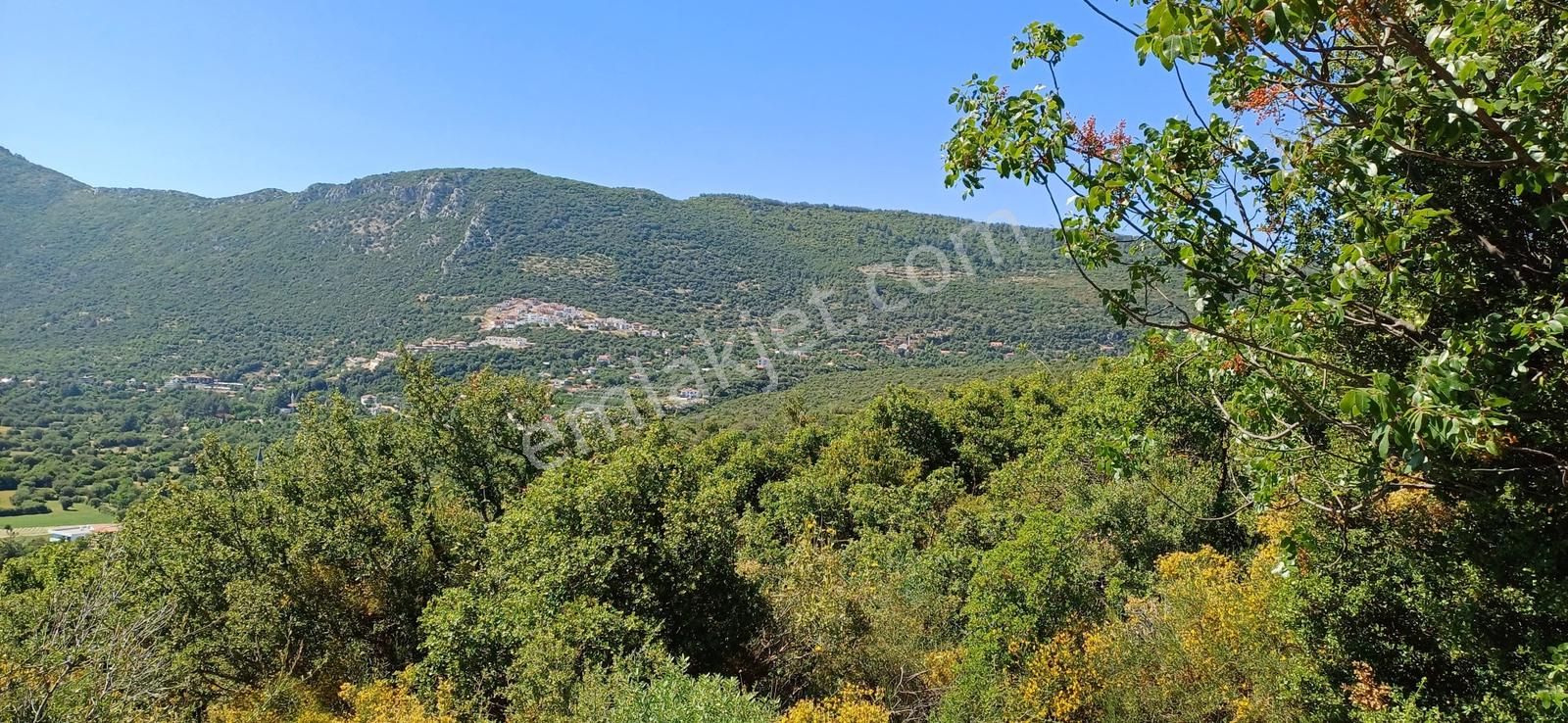 Kaş Pınarbaşı Mevkiinde Müstakil 14853 M2 Tarla - Görsel 17