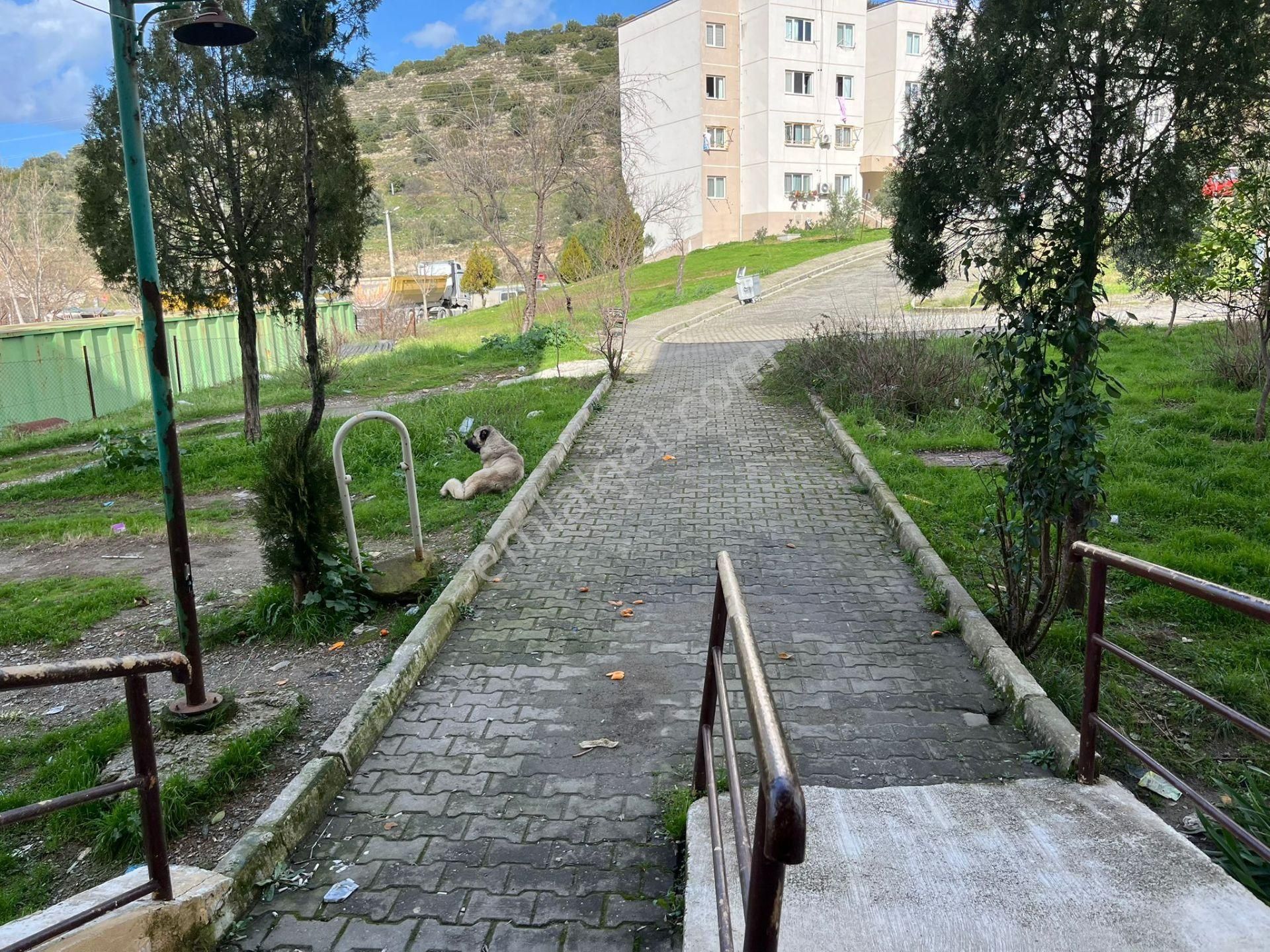 Egede Bu Fiyata 2+1 Zor! Muğla/milas'ta Satılık Ara Kat Daire - Görsel 6