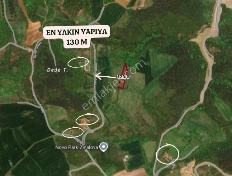 Yalova Çiftlikköy Kabaklı Köyünde 2.532 M² Tarla Satılıktır - Görsel 4