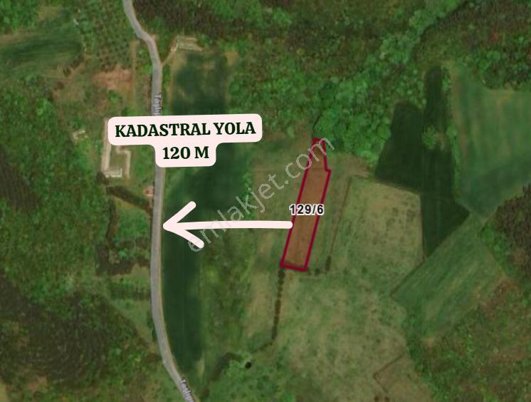 Yalova Çiftlikköy Kabaklı Köyünde 2.532 M² Tarla Satılıktır - Görsel 3