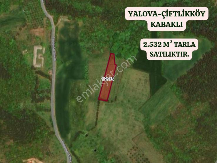 Yalova Çiftlikköy Kabaklı Köyünde 2.532 M² Tarla Satılıktır - Görsel 2