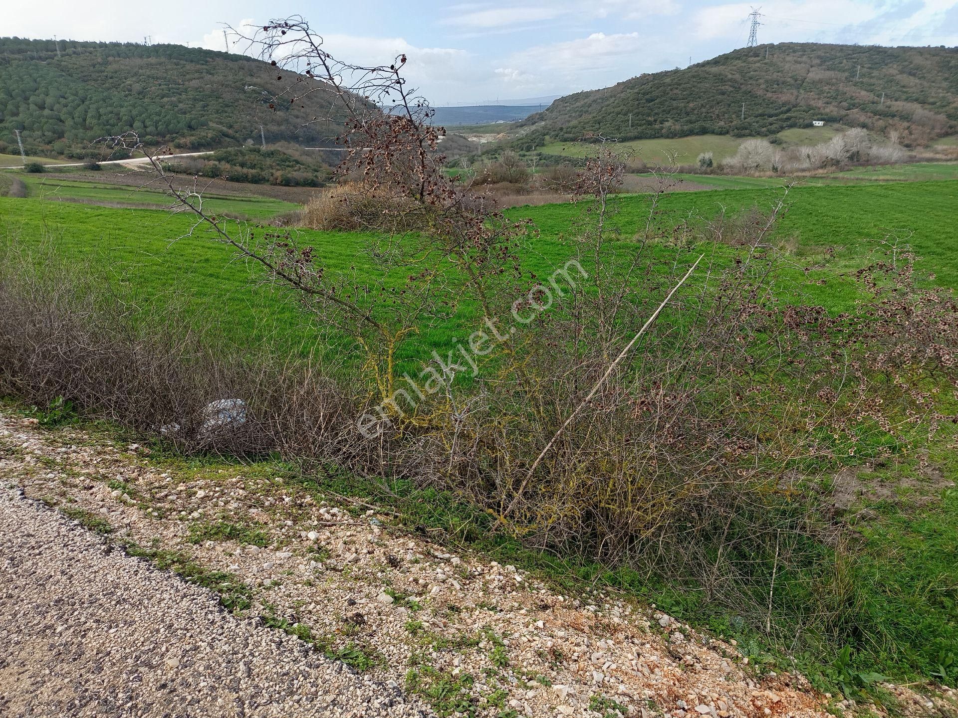 Yörükyenicesi Mahallesi Satılık 5.886 Mt2 Tarla - Görsel 3