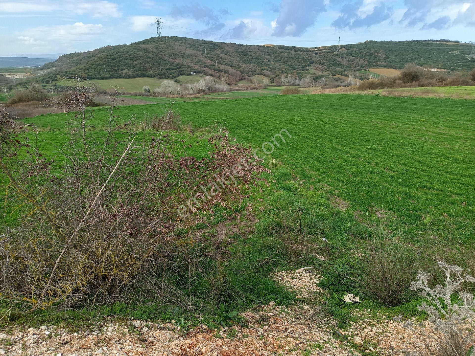 Yörükyenicesi Mahallesi Satılık 5.886 Mt2 Tarla - Görsel 5