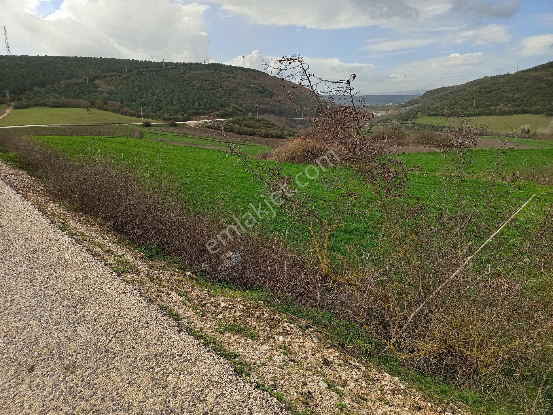 Yörükyenicesi Mahallesi Satılık 5.886 Mt2 Tarla - Görsel 8