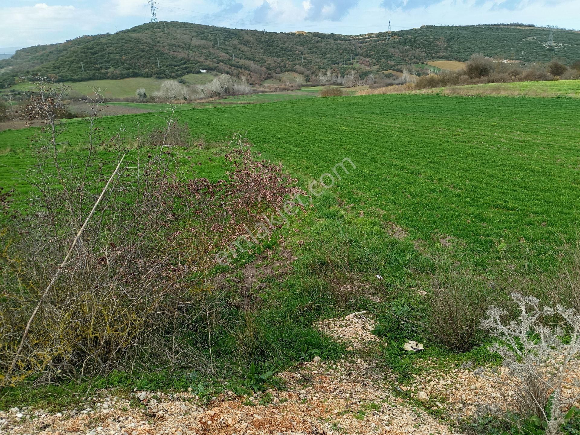 Yörükyenicesi Mahallesi Satılık 5.886 Mt2 Tarla - Görsel 4