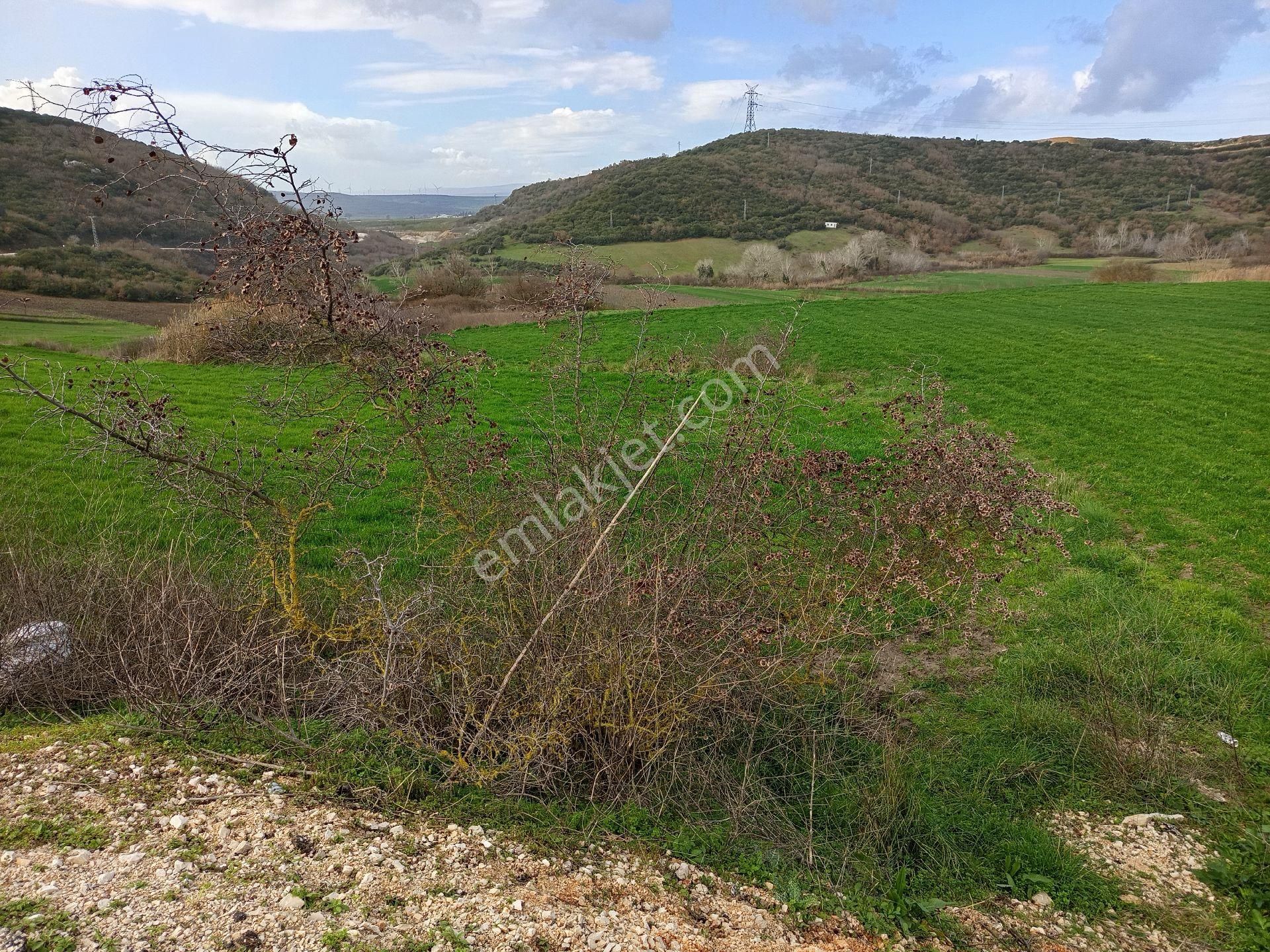 Yörükyenicesi Mahallesi Satılık 5.886 Mt2 Tarla - Görsel 7