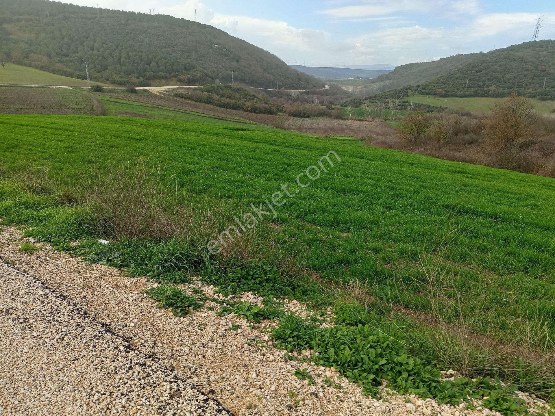 Yörükyenicesi Mahallesi Satılık 5.886 Mt2 Tarla