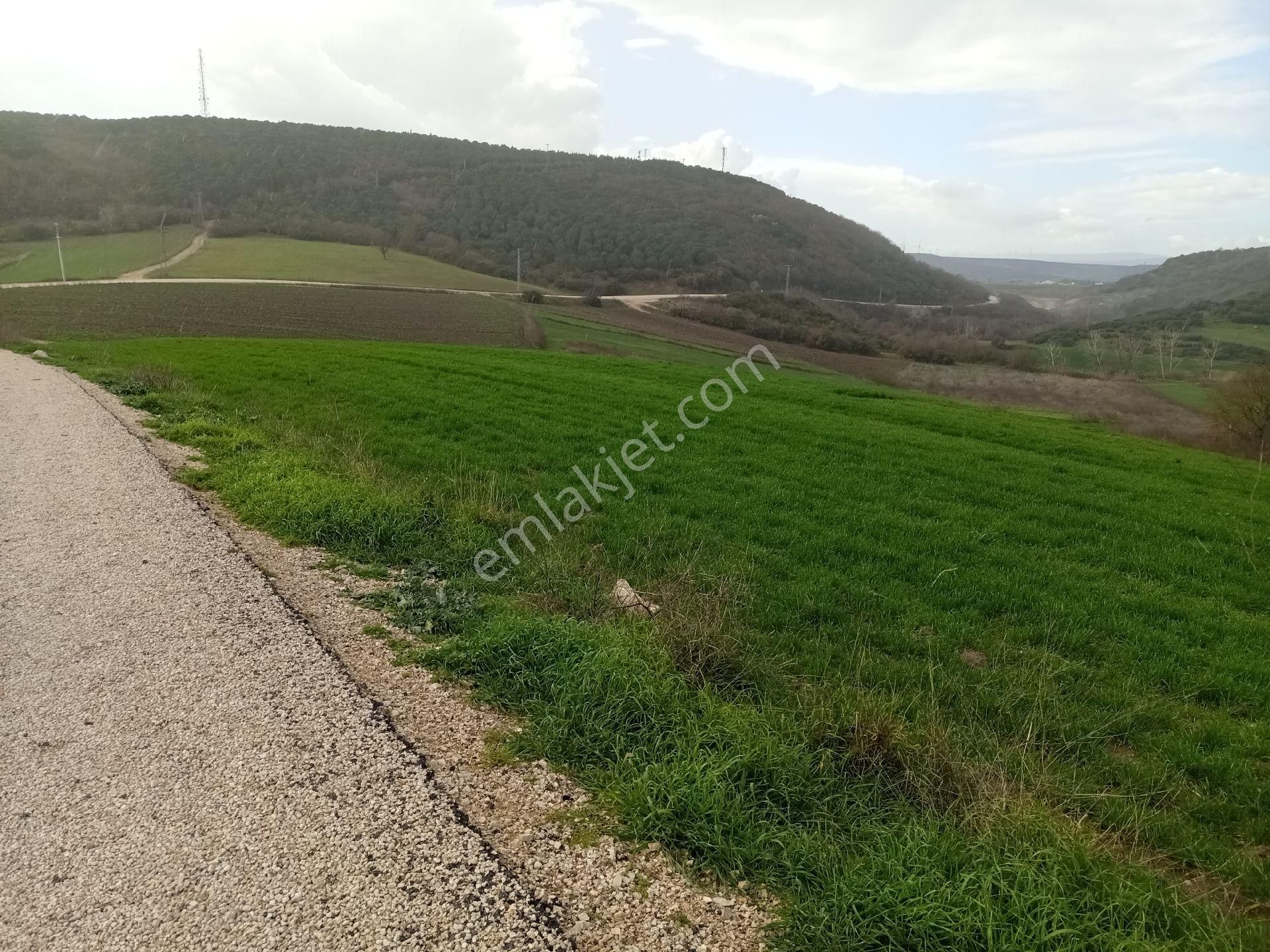 Yörükyenicesi Mahallesi Satılık 5.886 Mt2 Tarla - Görsel 6