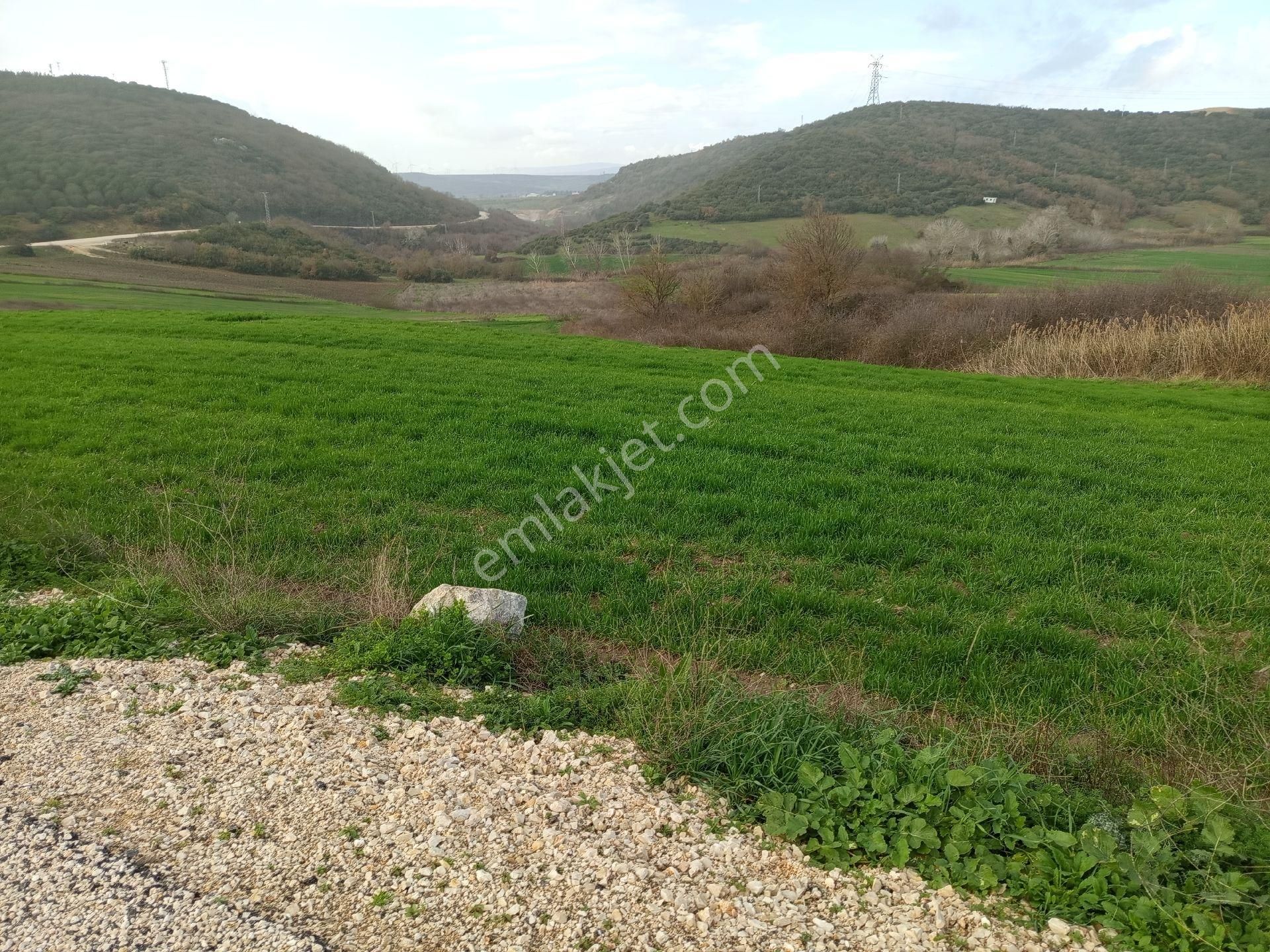 Yörükyenicesi Mahallesi Satılık 5.886 Mt2 Tarla - Görsel 2