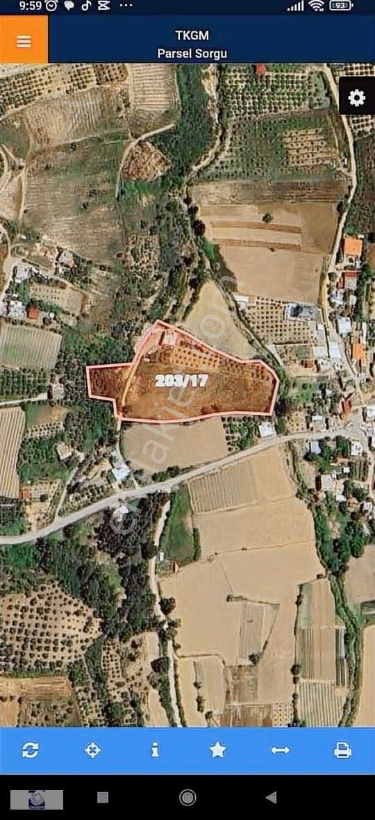 Hacı Ali De 1568 M2 Köy İçinde Tarla