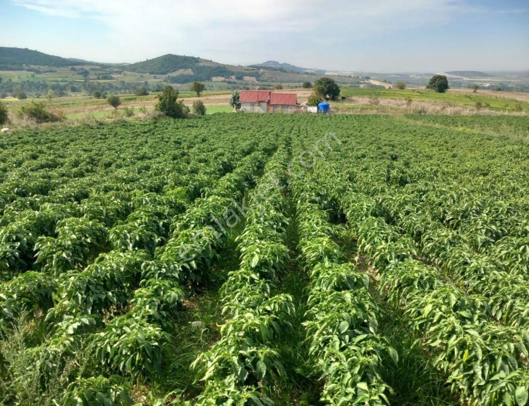 Yenişehir İncirli Köyünde Yola Cepheli Suyu Olan 3,600 M2-tarla - Görsel 22