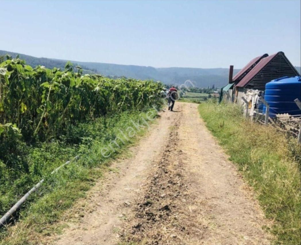 Yenişehir İncirli Köyünde Yola Cepheli Suyu Olan 3,600 M2-tarla - Görsel 11