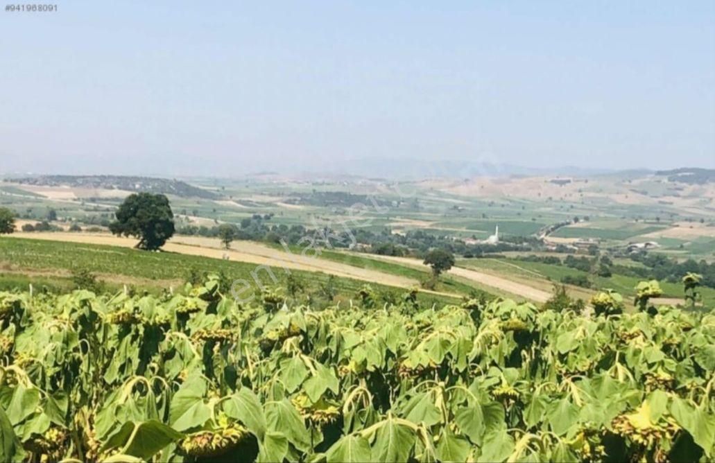 Yenişehir İncirli Köyünde Yola Cepheli Suyu Olan 3,600 M2-tarla - Görsel 3