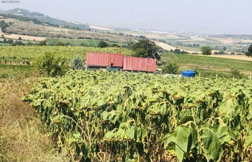 Yenişehir İncirli Köyünde Yola Cepheli Suyu Olan 3,600 M2-tarla - Görsel 10