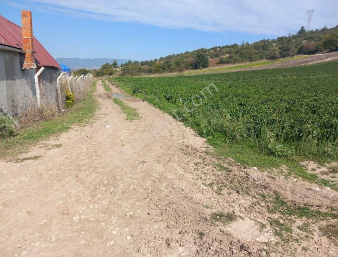 Yenişehir İncirli Köyünde Yola Cepheli Suyu Olan 3,600 M2-tarla - Görsel 15