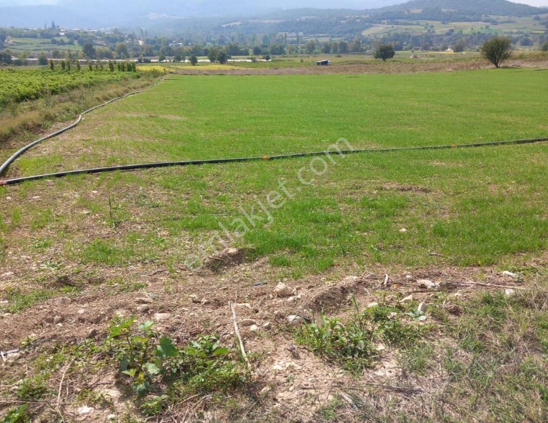 Yenişehir İncirli Köyünde Yola Cepheli Suyu Olan 3,600 M2-tarla - Görsel 14