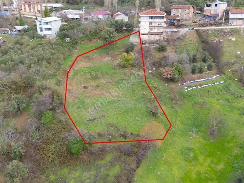 C21 Cius; Katırlı Köy İçi İmarlı 1321 M² Asfalta Cephe Arsa