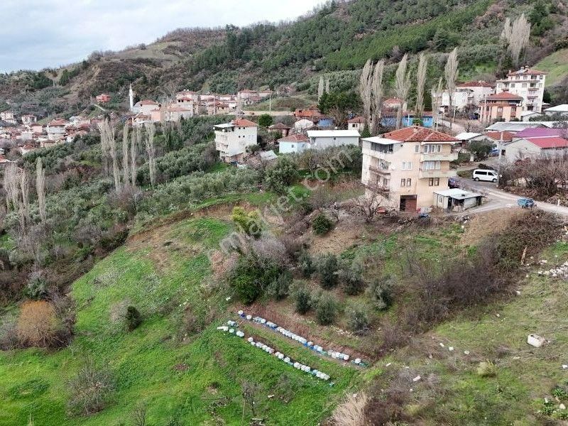 C21 Cius; Katırlı Köy İçi İmarlı 1321 M² Asfalta Cephe Arsa - Görsel 4