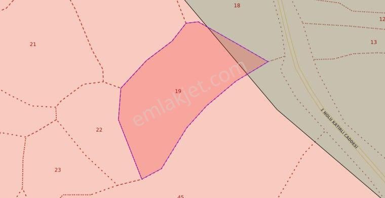 C21 Cius; Katırlı Köy İçi İmarlı 1321 M² Asfalta Cephe Arsa - Görsel 6