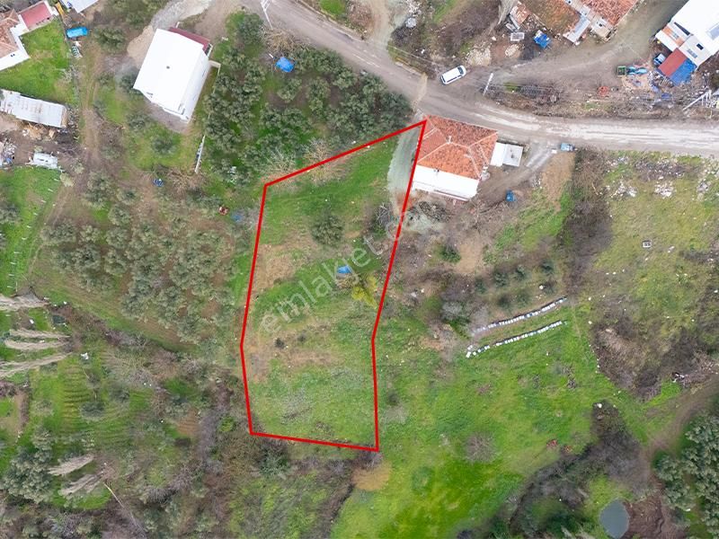 C21 Cius; Katırlı Köy İçi İmarlı 1321 M² Asfalta Cephe Arsa - Görsel 5