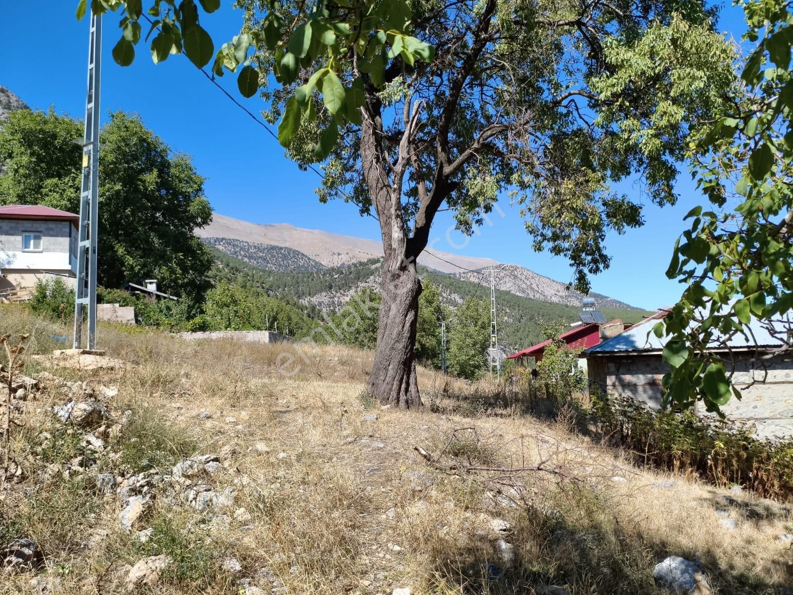 Kar Emlaktan Akçatekir Eskiköyde 235 M2 Satılık Asra - Görsel 24