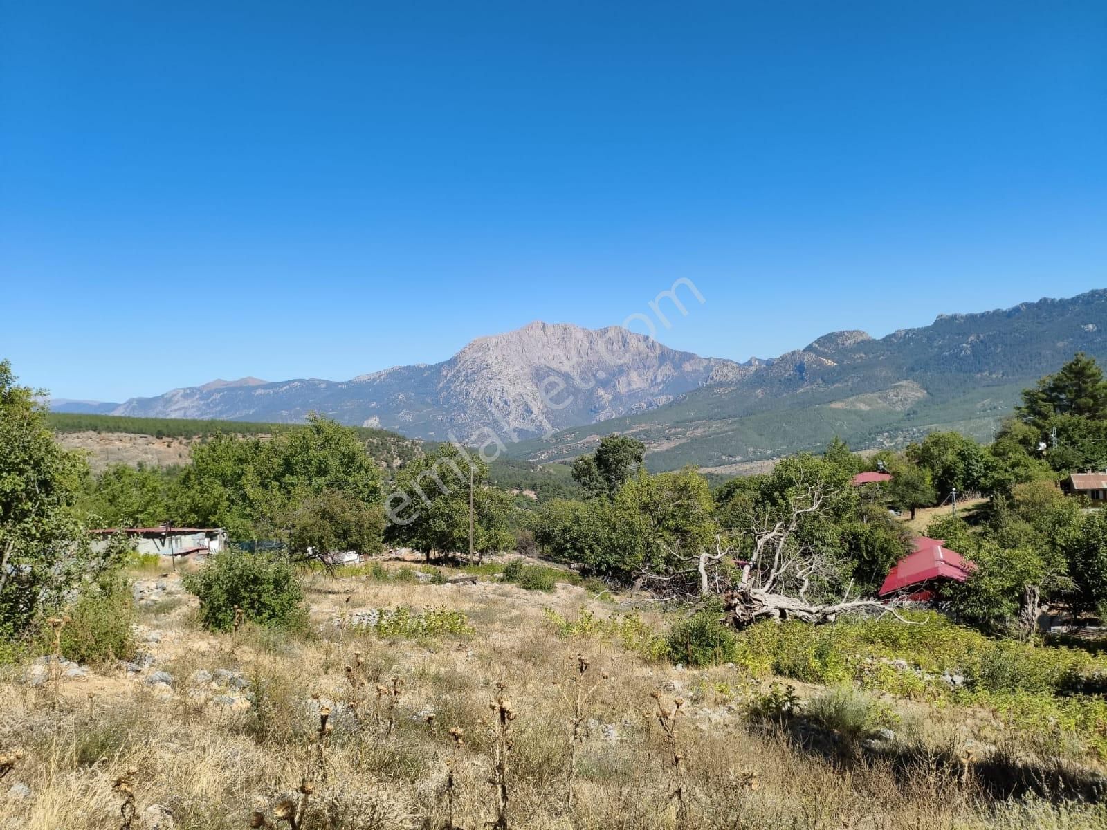 Kar Emlaktan Akçatekir Eskiköyde 235 M2 Satılık Asra - Görsel 10