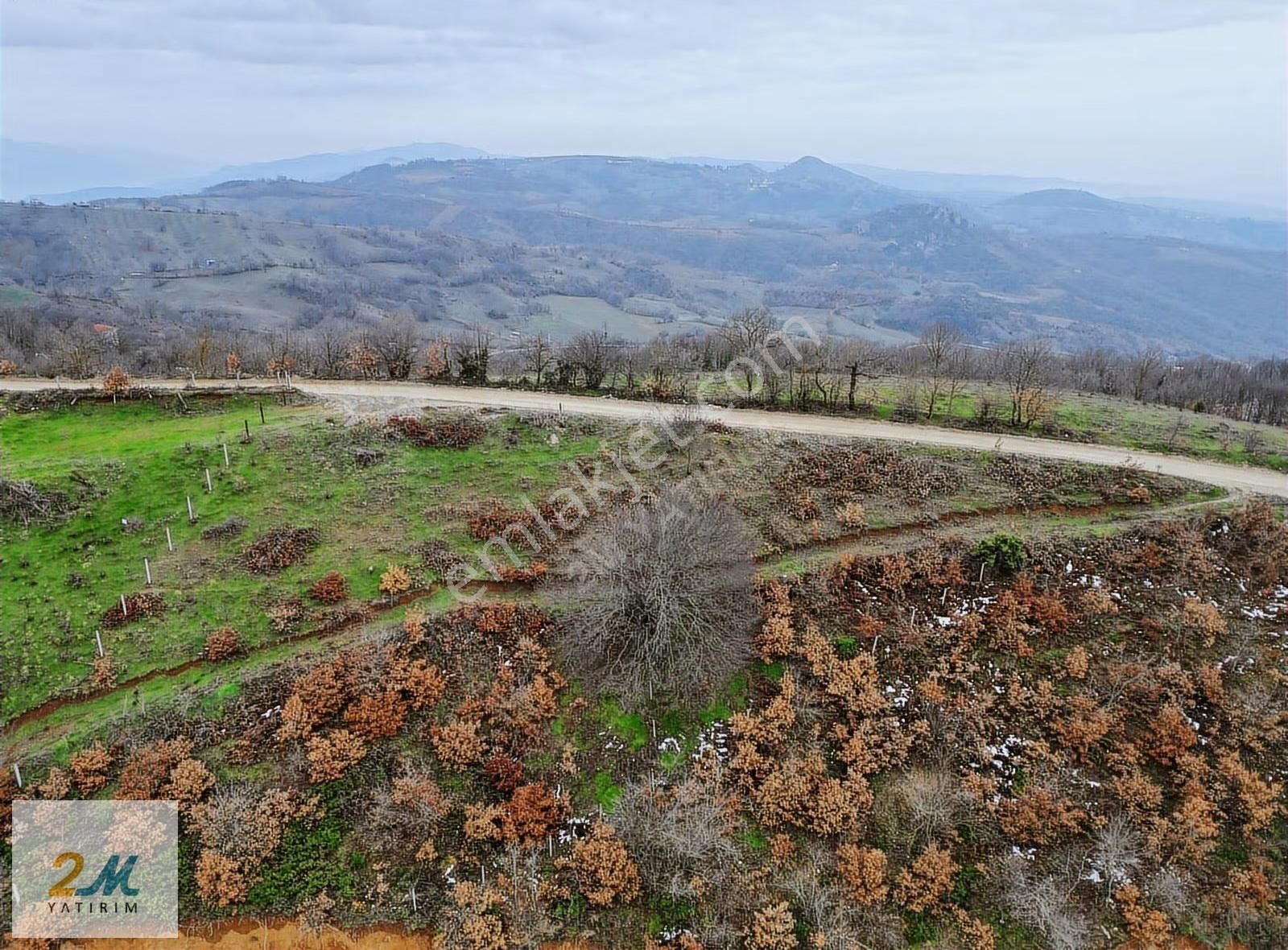 2m Yatırım'dan Yenişehir Kirazlı Yaylada Fırsat Yer !!! - Görsel 12